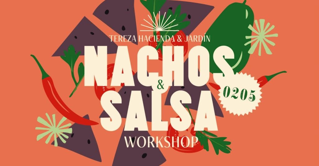Nachos & Salsa Workshop